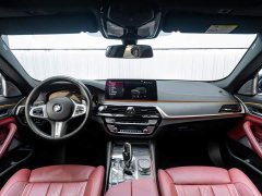 BMW 5 Series 530Li Luxury M Sport Package - ფოტო 15