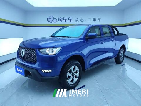 2021 Mercedes-Benz Cannon 2019 2.0T Commercial Manual Gasoline RWD Elite Long Bed GW4C20B - ავტომობილი ჩინეთიდან