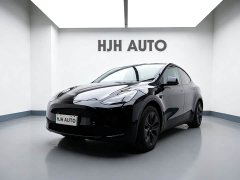 Tesla Model Y Rear-Wheel Drive - ფოტო 1