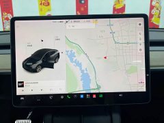 Tesla Model Y Long Range All-Wheel Drive - ფოტო 13
