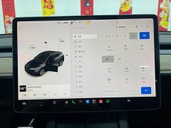 Tesla Model Y Long Range All-Wheel Drive - ფოტო 14