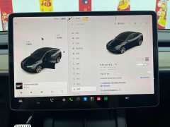Tesla Model Y Long Range All-Wheel Drive - ფოტო 15