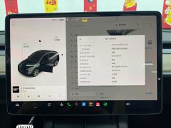 Tesla Model Y Long Range All-Wheel Drive - ფოტო 16