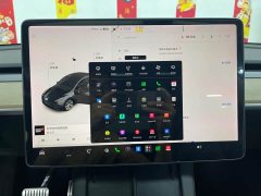 Tesla Model Y Long Range All-Wheel Drive - ფოტო 17
