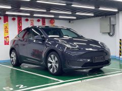 Tesla Model Y Long Range All-Wheel Drive - ფოტო 3