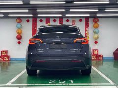 Tesla Model Y Long Range All-Wheel Drive - ფოტო 6