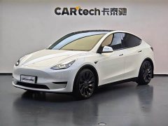 Tesla Model Y 2023 High Performance All-Wheel Drive - ფოტო 1