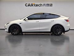 Tesla Model Y 2023 High Performance All-Wheel Drive - ფოტო 2
