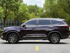 Chery Tiggo 8 PLUS 2021 290TGDI DCT Luxury Edition - ფოტო 8
