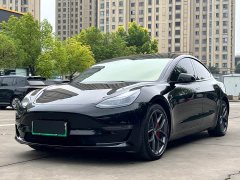 Tesla Model 3 Performance All-Wheel Drive - ფოტო 1
