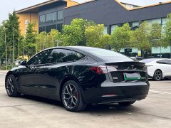 Tesla Model 3 Performance All-Wheel Drive - ფოტო 16