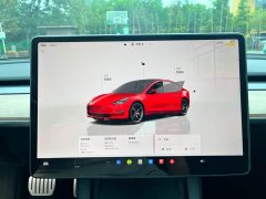 Tesla Model 3 Performance All-Wheel Drive - ფოტო 8