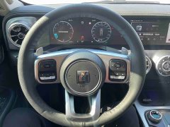 Tank 300 2021 Off-Road Edition 2.0T Conqueror - ფოტო 10