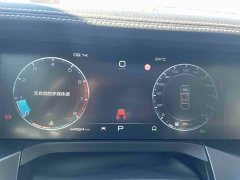 Tank 300 2021 Off-Road Edition 2.0T Conqueror - ფოტო 11