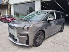 Zeekr Geely Geometry 009 Seven-Seat Ultra Home Edition - ფოტო 1