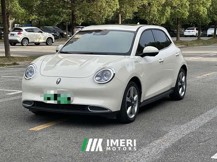 ORA Good Cat 400km Standard Range Luxury Ternary Lithium - ავტომობილი ჩინეთიდან