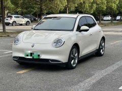 ORA Good Cat 400km Standard Range Luxury Ternary Lithium - ფოტო 1