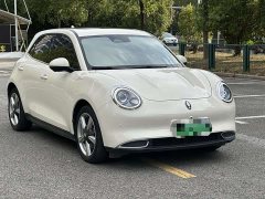 ORA Good Cat 400km Standard Range Luxury Ternary Lithium - ფოტო 2
