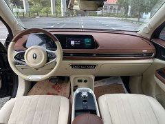 ORA Good Cat 400km Standard Range Luxury Ternary Lithium - ფოტო 6