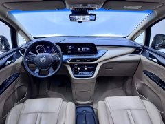 Buick GL8 ES Lu Zun 653T Premier - ფოტო 10