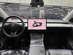 Tesla Model Y Rear-Wheel Drive - ფოტო 15