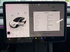 Tesla Model Y Rear-Wheel Drive - ფოტო 20