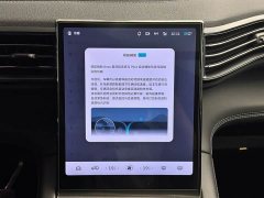 NIO ES6 75kWh Sport Edition - ფოტო 18