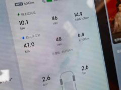 Li Auto L9 Ultra - ფოტო 10