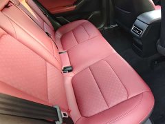 Changan Eado 2020 PLUS Blue Whale NE 1.4T GDI DCT Flagship - ფოტო 15