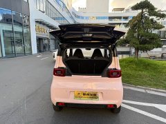 Wuling Hongguang MINIEV 2022 Macaron Color Edition LFP Battery - ფოტო 10