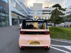 Wuling Hongguang MINIEV 2022 Macaron Color Edition LFP Battery - ფოტო 8