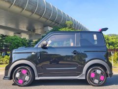 Geely Panda 200km Panda Kart - ფოტო 4