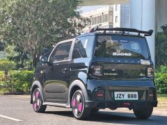 Geely Panda 200km Panda Kart - ფოტო 5