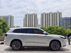 AITO Wenjie M7 1.5T RWD Plus 5-Seater - ფოტო 9