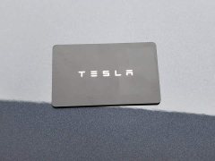 Tesla Model Y Rear-Wheel Drive - ფოტო 19