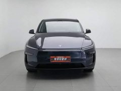 Tesla Model Y Rear-Wheel Drive - ფოტო 3