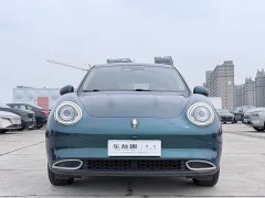 ORA Good Cat 400km Standard Range Athena Edition LFP Battery - ფოტო 1