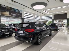 BMW X5 xDrive 30Li Luxury M Sport Package - ფოტო 13