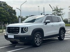 Great Wall Dachshund 1.5T DCT Two-Wheel Drive Border Collie Edition - ფოტო 1