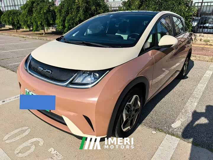 BYD Dolphin 405km Fashion Edition - ავტომობილი ჩინეთიდან