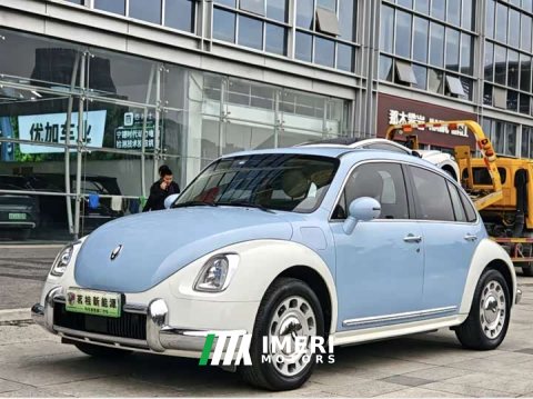 2023 Ora Ballet Cat 2022 500km Sleeping Beauty Edition - ავტომობილი ჩინეთიდან
