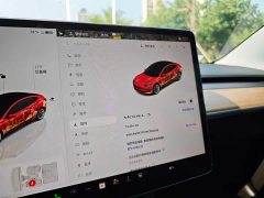 Tesla Model 3 2022 Rear-Wheel Drive - ფოტო 9