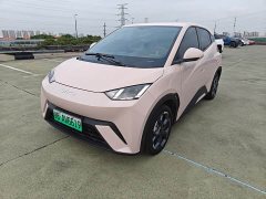 BYD Seagull 2025 305km Freedom Edition - ფოტო 1