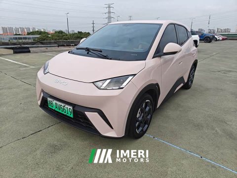 2024 BYD Seagull 2025 305km Freedom Edition - ავტომობილი ჩინეთიდან
