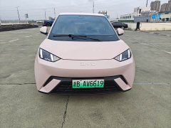 BYD Seagull 2025 305km Freedom Edition - ფოტო 2