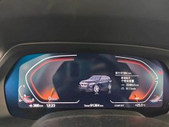 BMW X5 xDrive 30Li Luxury M Sport Package - ფოტო 8