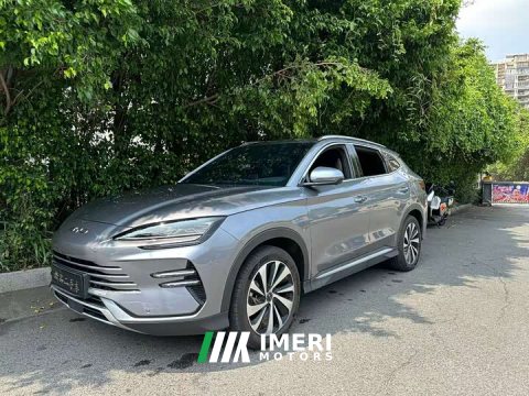 2023 BYD Song Plus New Energy Champion Edition DM-i 110KM Flagship - ავტომობილი ჩინეთიდან