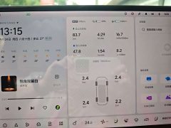 Li Auto L8 Pro - ფოტო 10