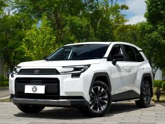 Toyota RAV4 Dual Engine 2.0L FWD Luxury - ფოტო 1