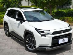 Toyota RAV4 Dual Engine 2.0L FWD Luxury - ფოტო 13